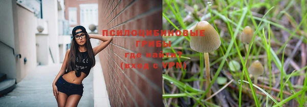 дурь Волоколамск