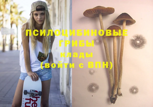 дурь Волоколамск